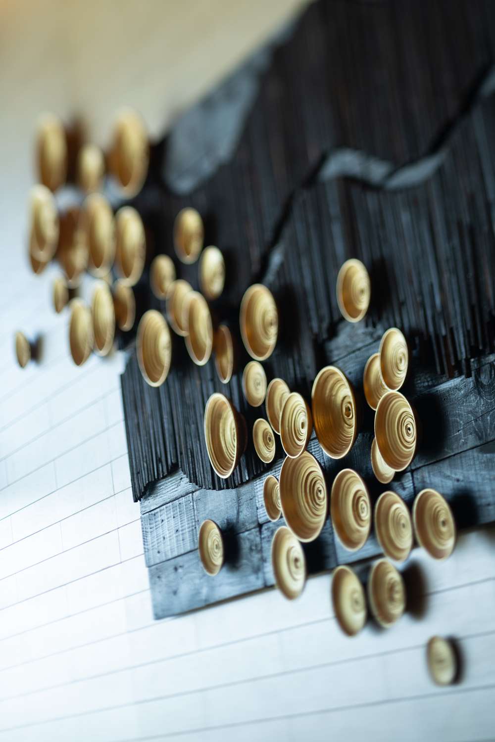 Фото Hilton Yala Resort