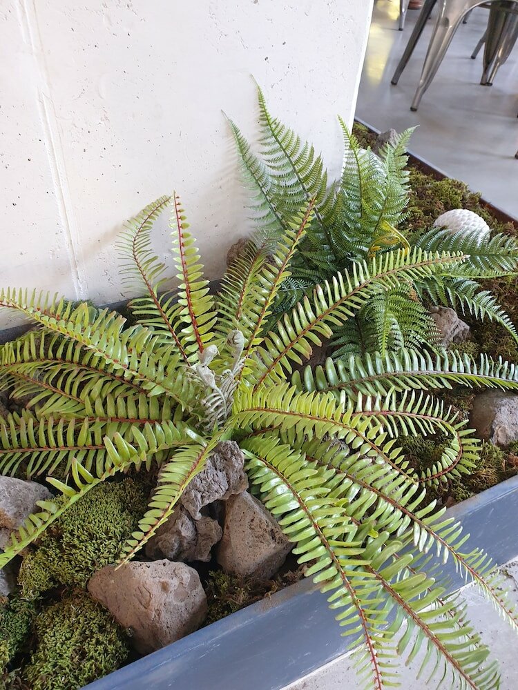 Фото Junibino Hotel Hongdae