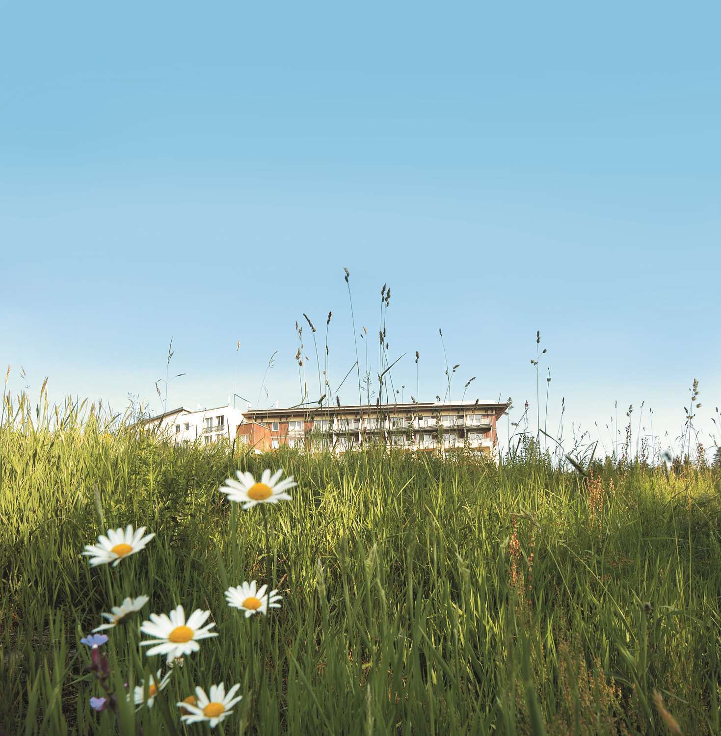 Фото Wellness- & Nationalpark Hotel Schliffkopf