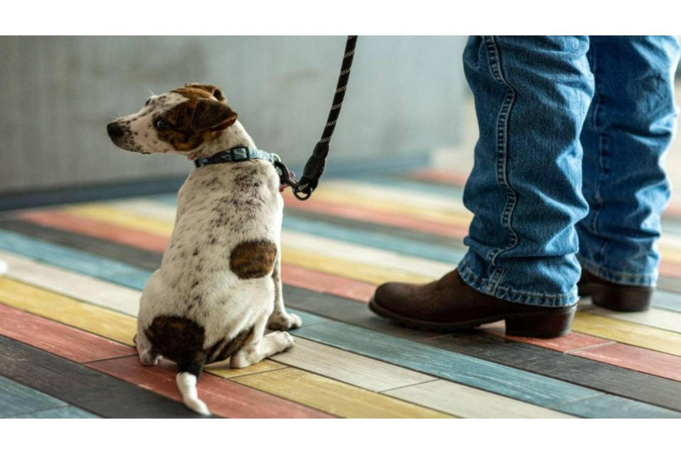 Фото Motel 6 Lake Elsinore, Ca