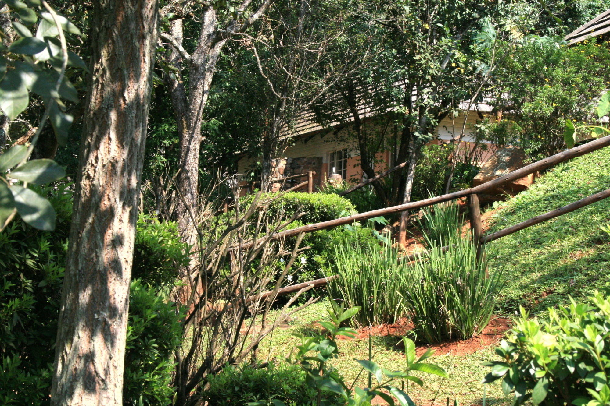 Фото Sabi Star Chalets