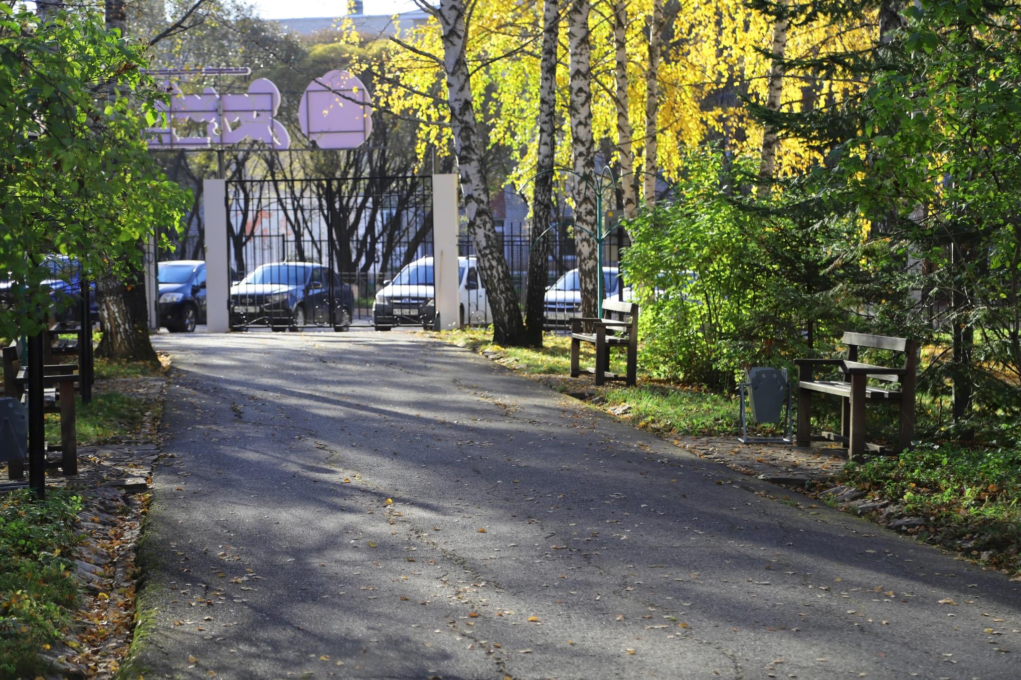 Фото Здоровье