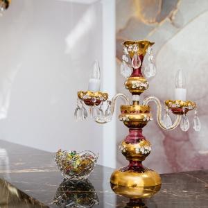 Фото Монарх