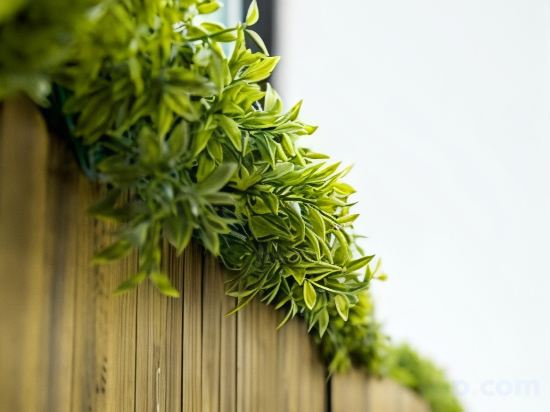 Фото Keremet Hotel