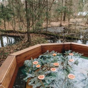 Фото Усадьба Гребнево