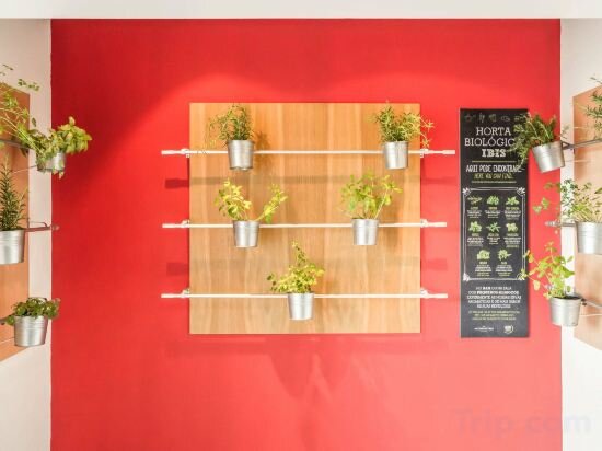 Фото Ibis Coimbra Centro