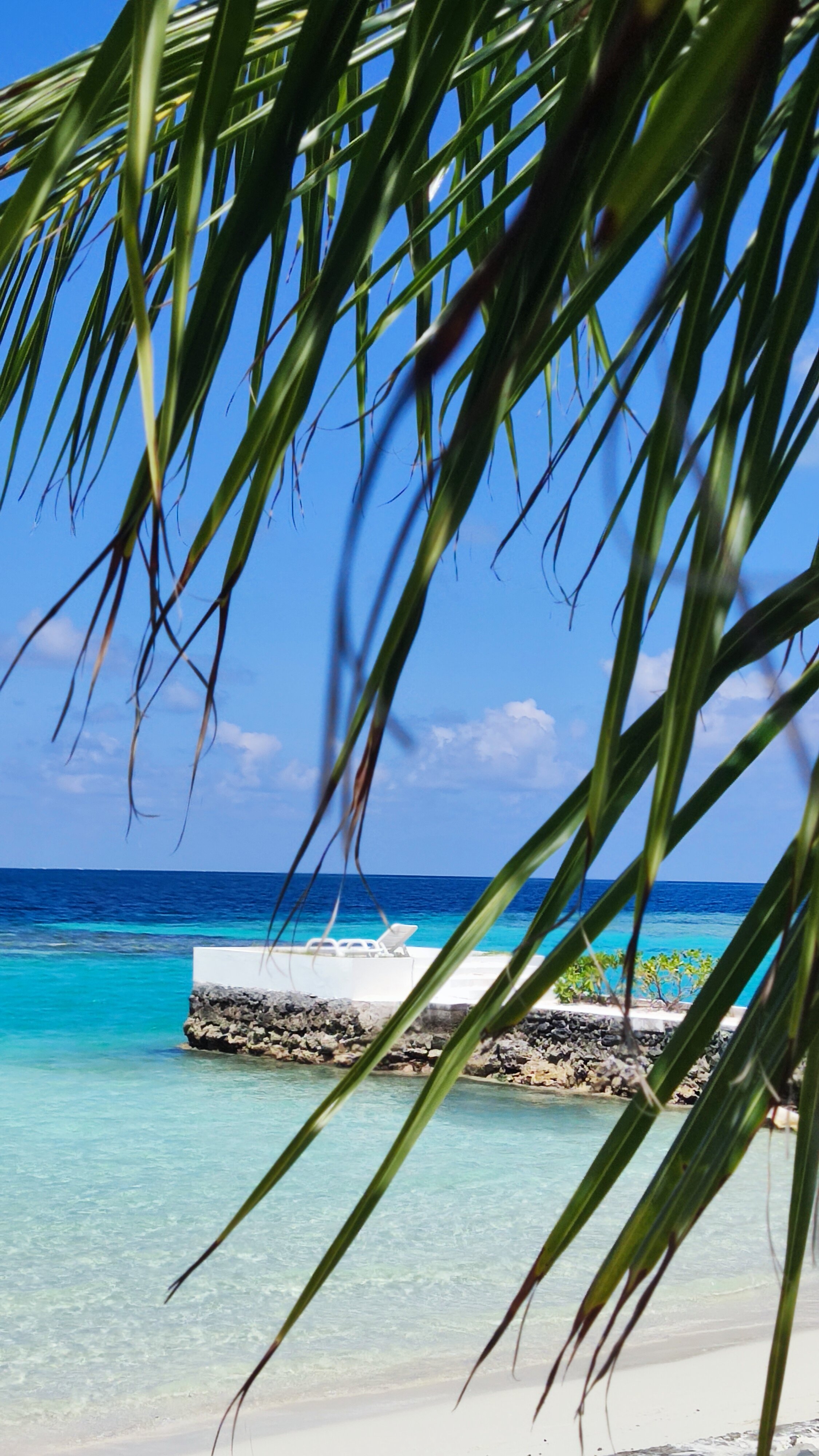 Фото Lagoon View Maldives