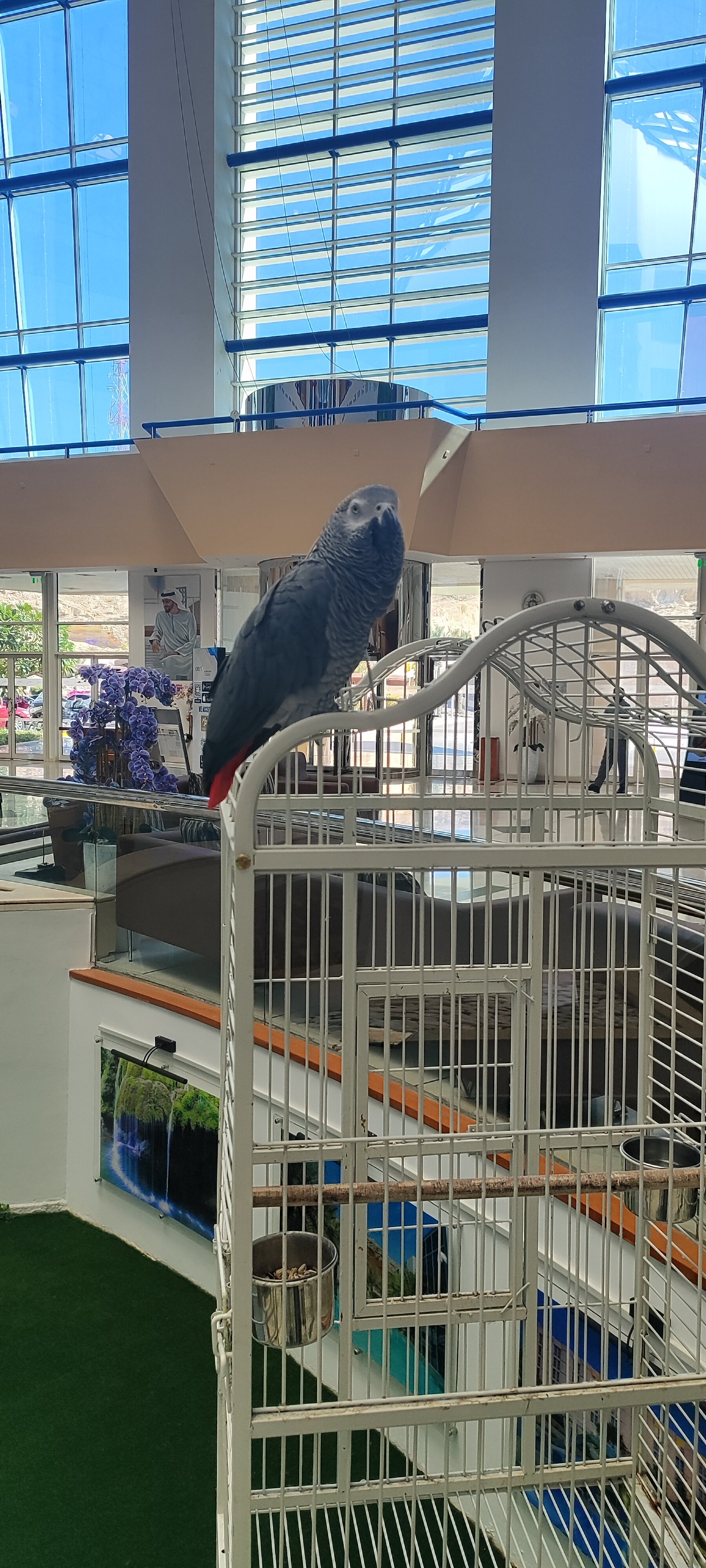 Фото Oryx Grand Hotel Jebel Hafeet