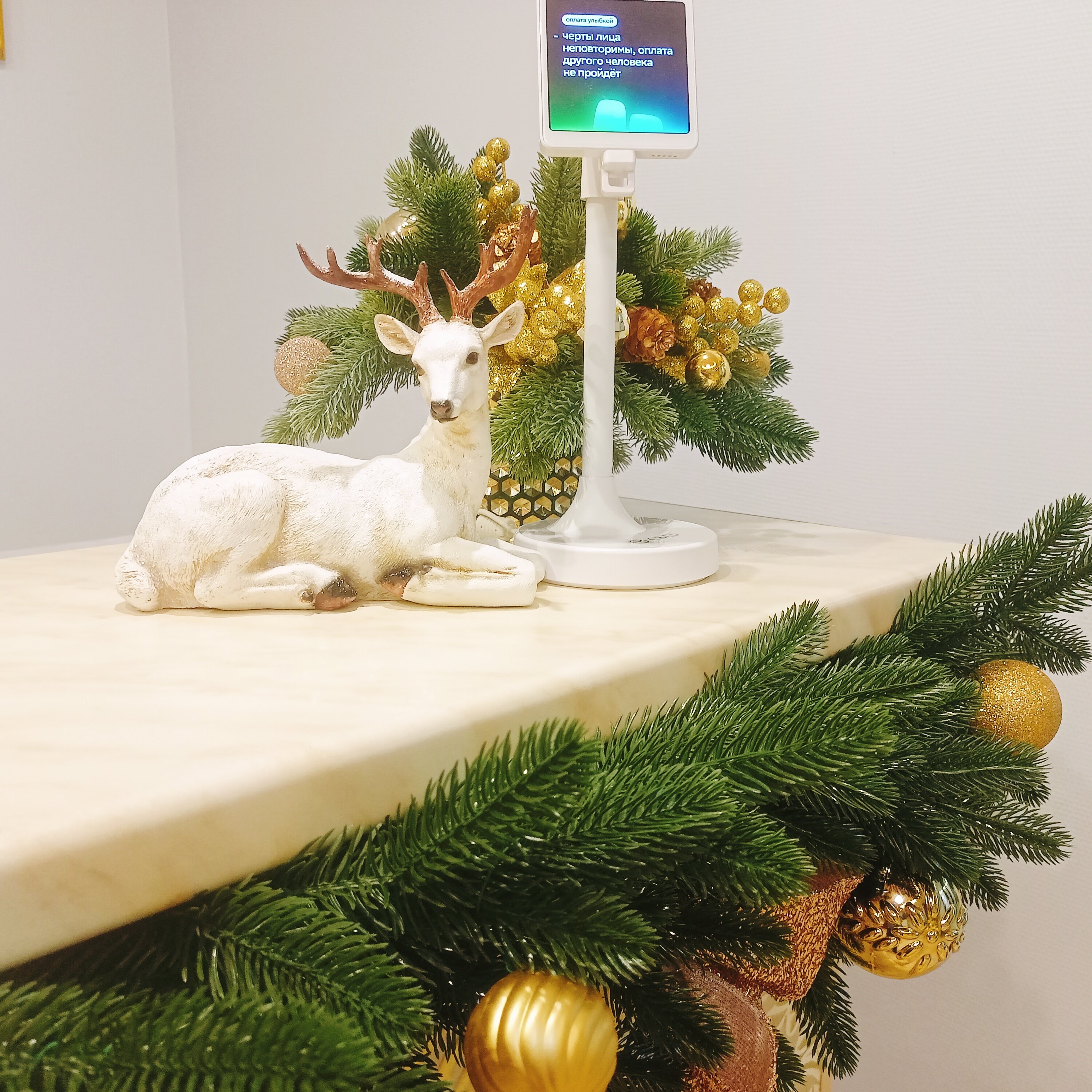 Фото Сухона