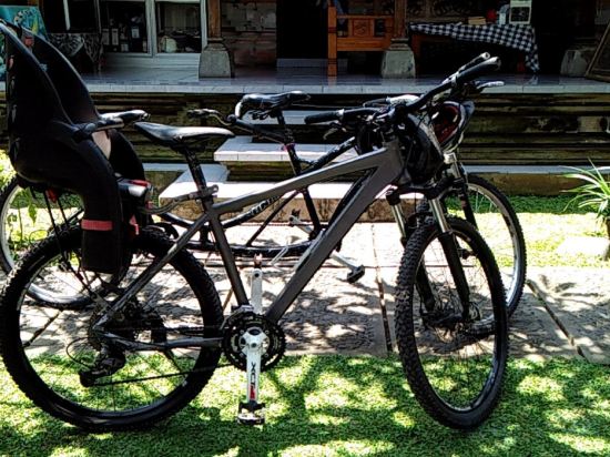 Фото Kubu Bali Baik Villa & Resort