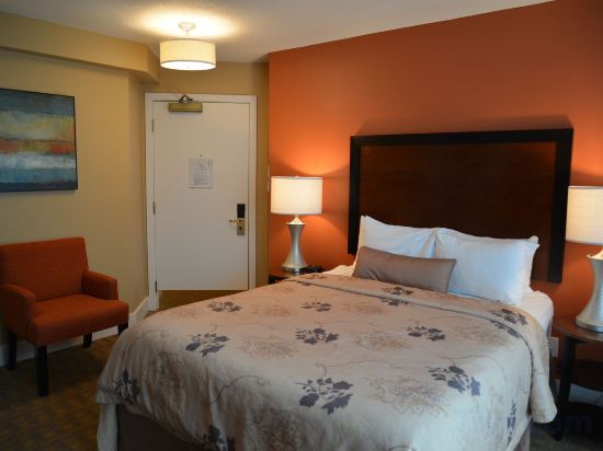 Фото Rosedale on Robson Suite Hotel