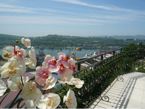 Гостевой дом Аквилон во Владивостоке