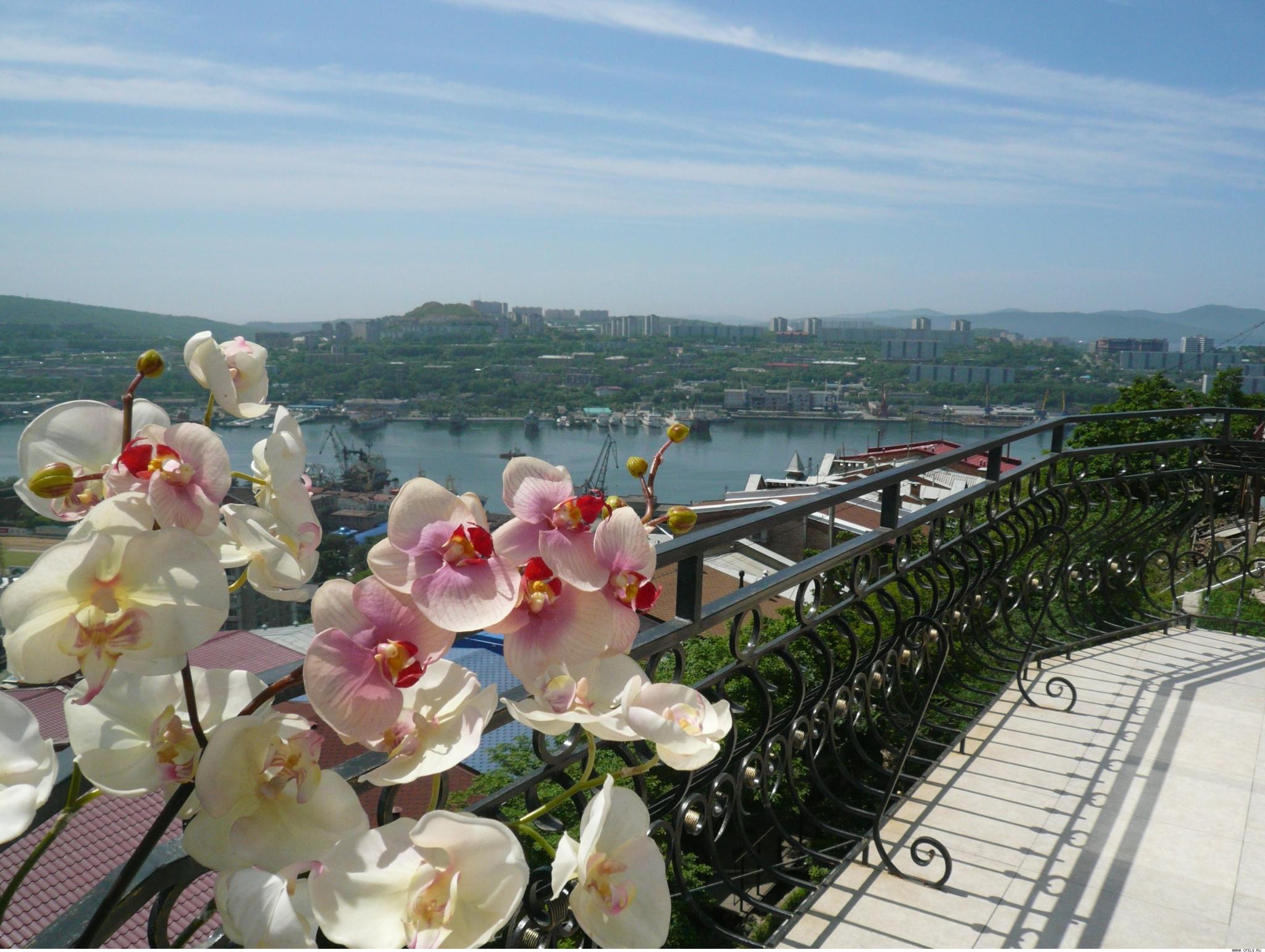 Фото Аквилон