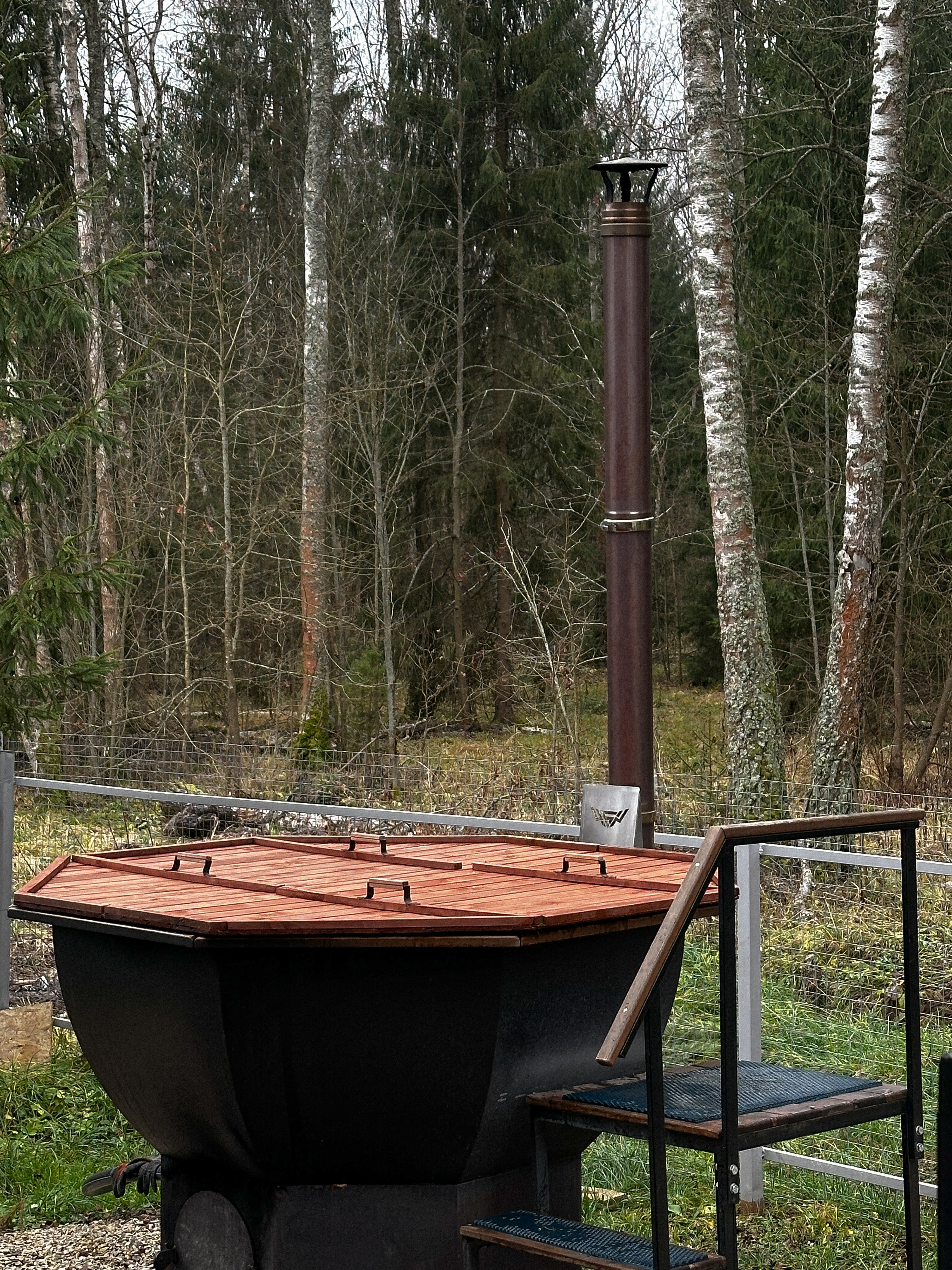 Фото У леса