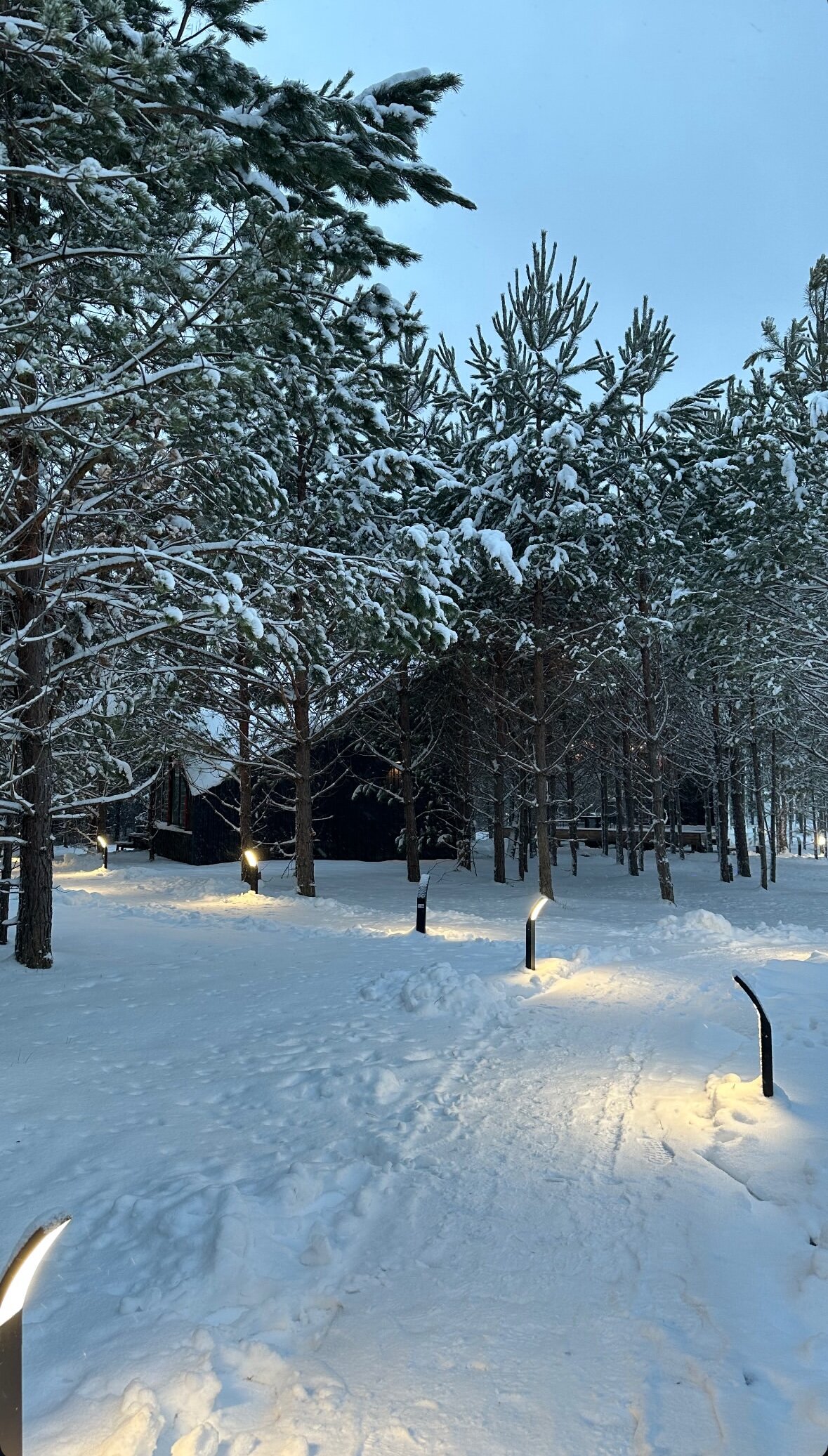 Фото Лаки Глэмпинг