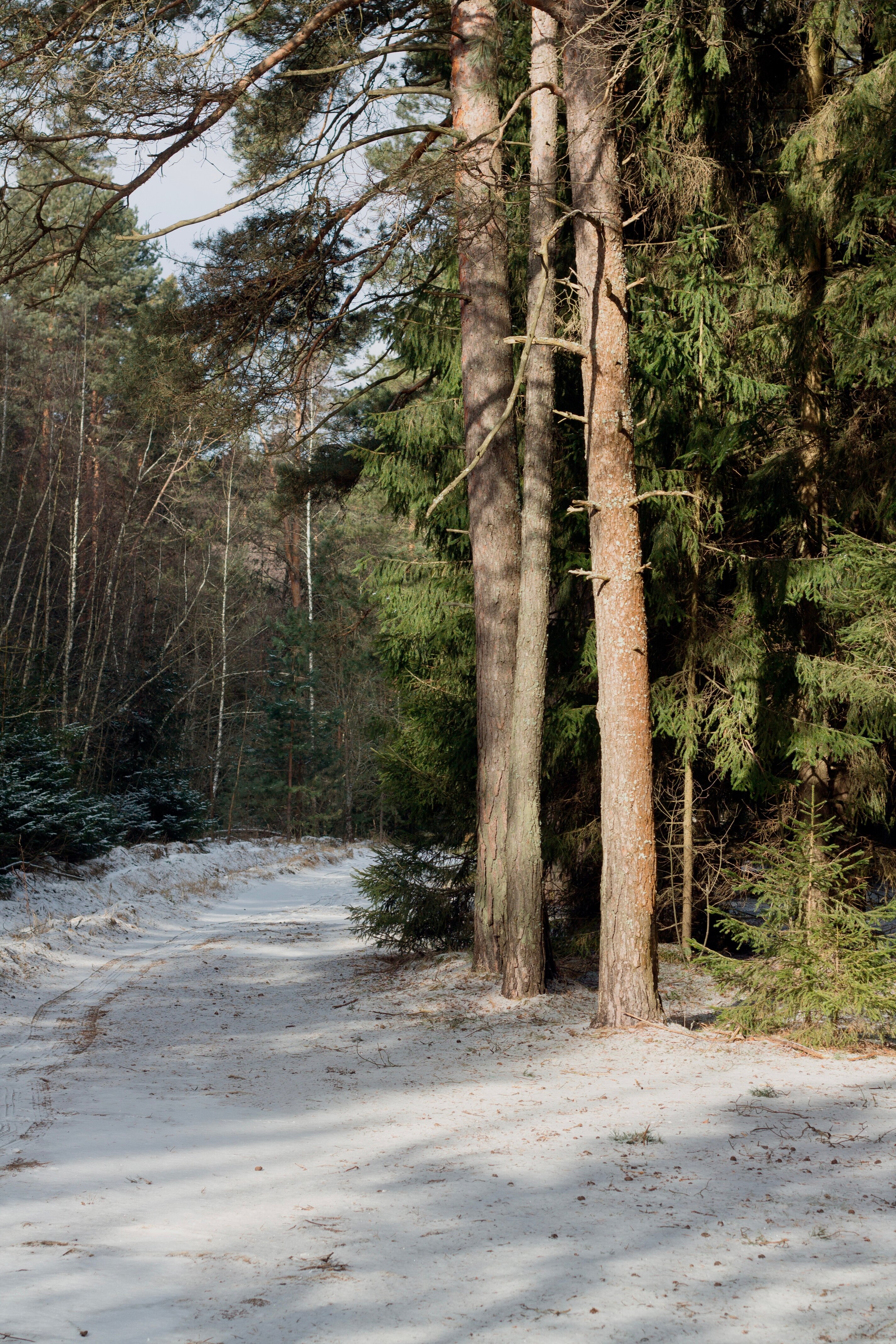 Фото Green House