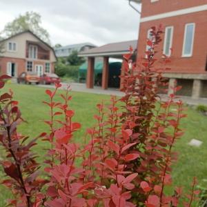 Фото Пролетарская улица 19