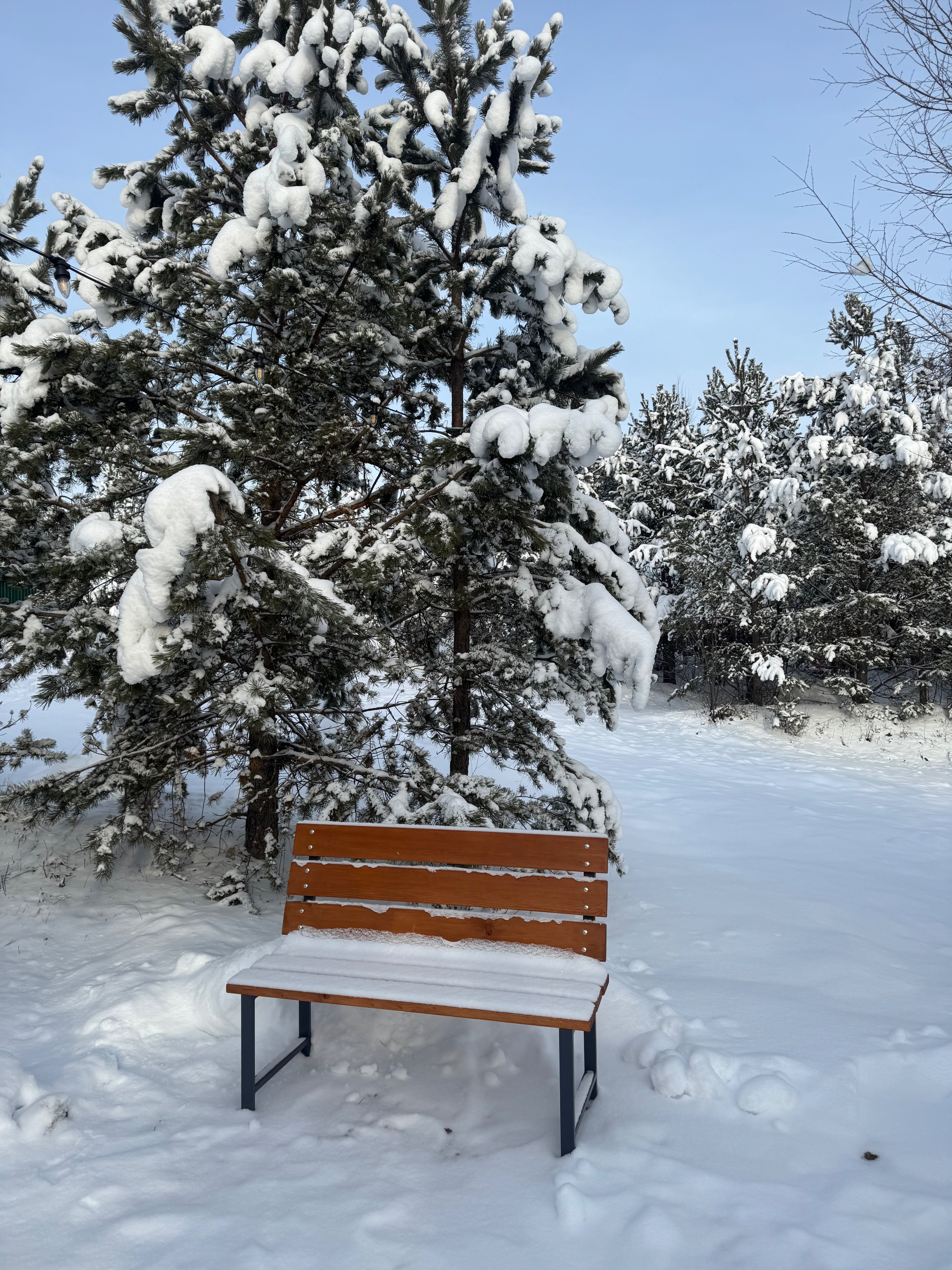 Фото Дружба Глэмп