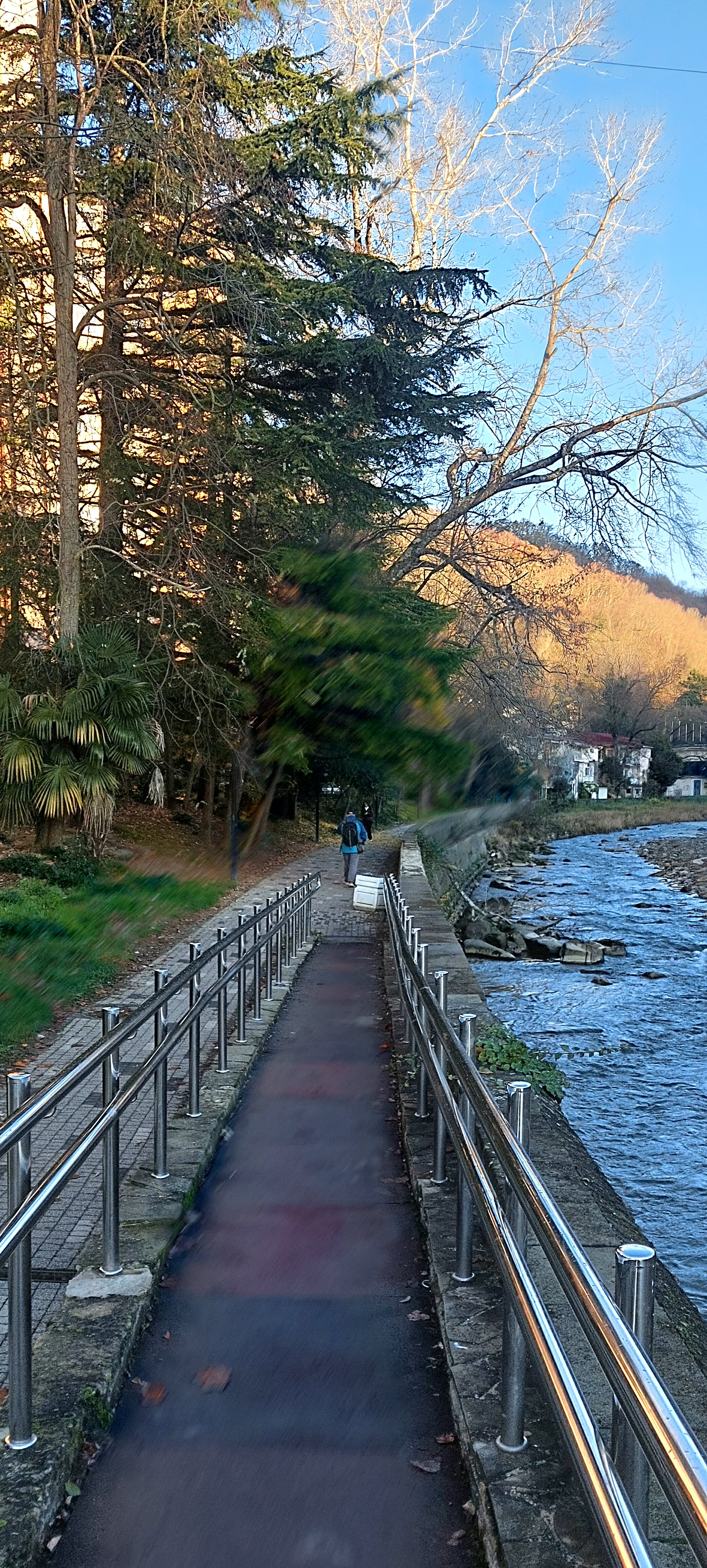 Фото Гарден Хоста