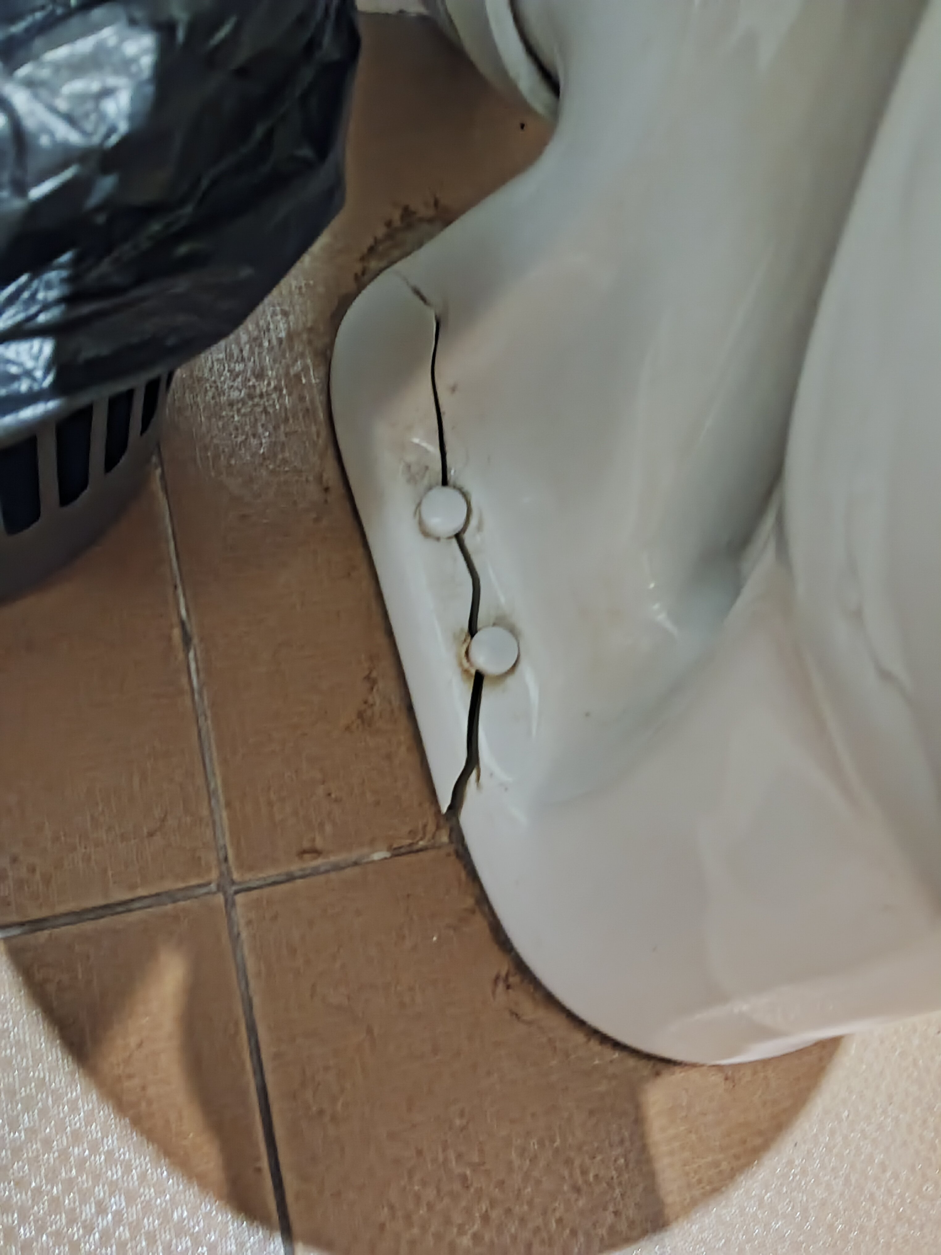 Фото Надежда