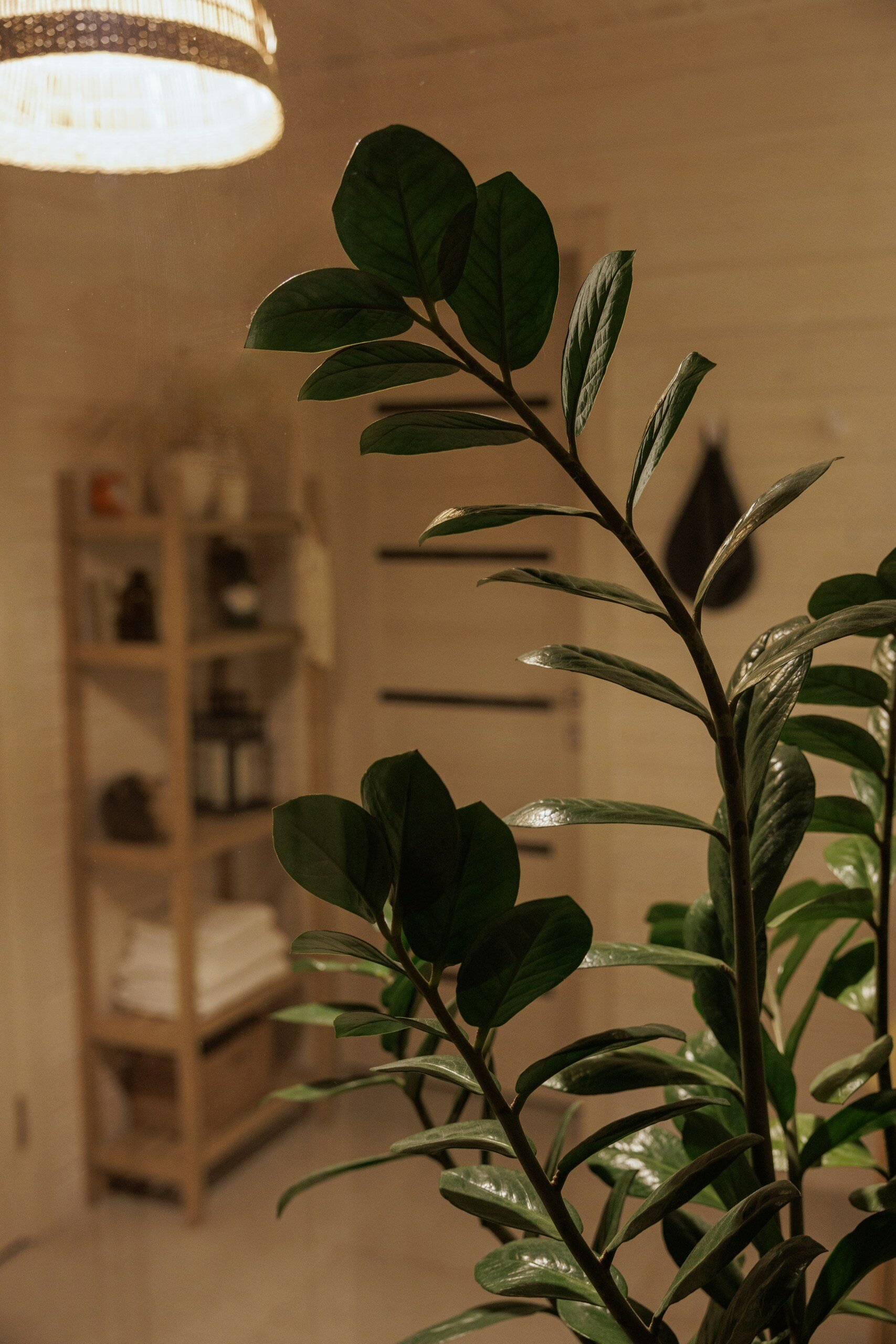 Фото Shalash Time