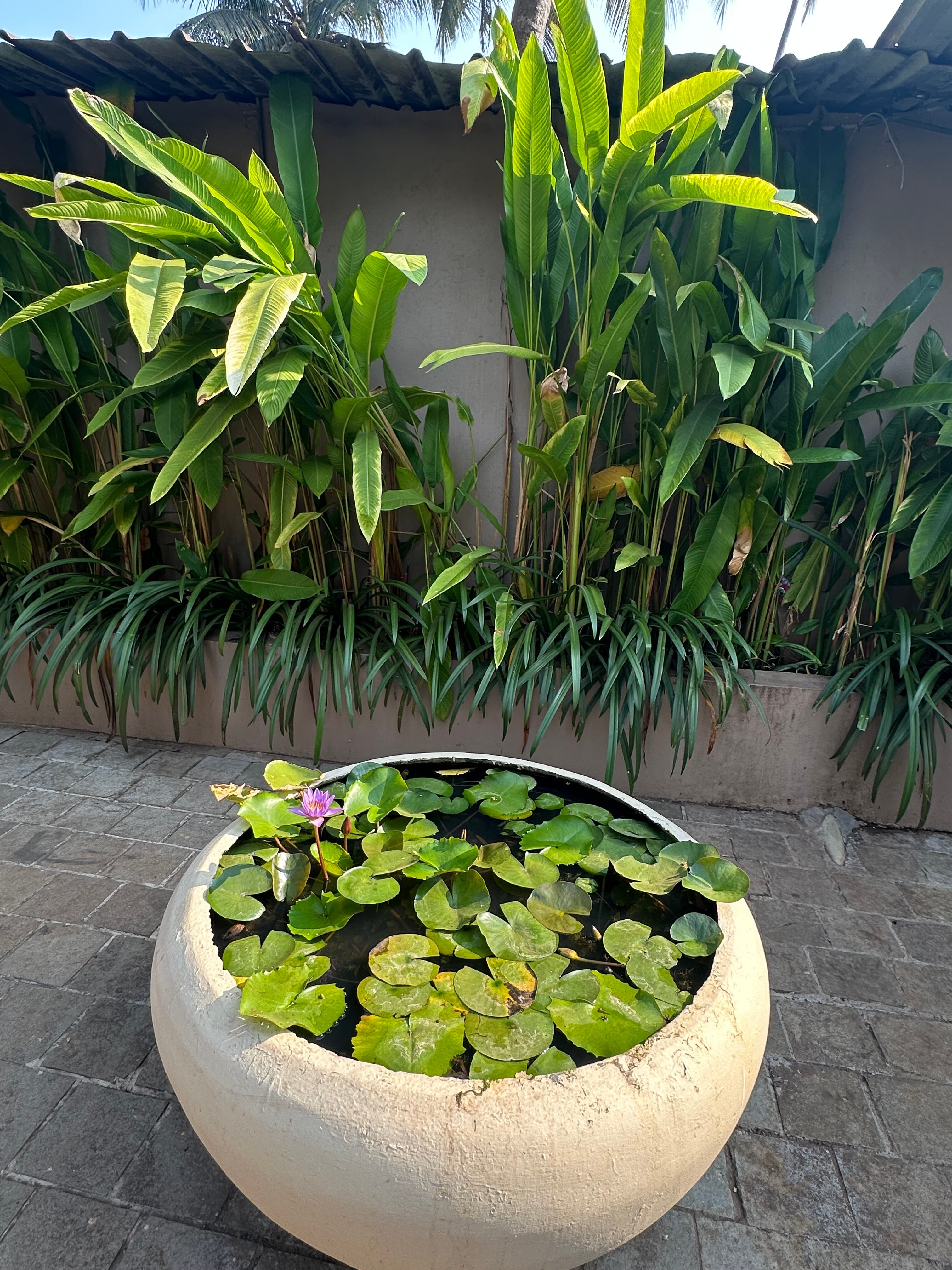 Фото Riva Beach Resort