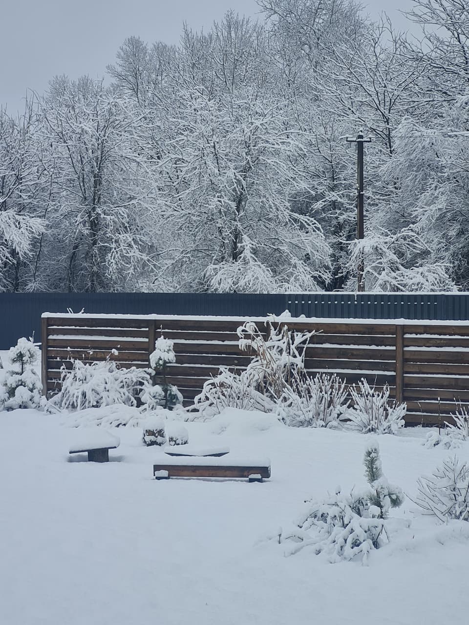 Фото Гостевой дом Лисы