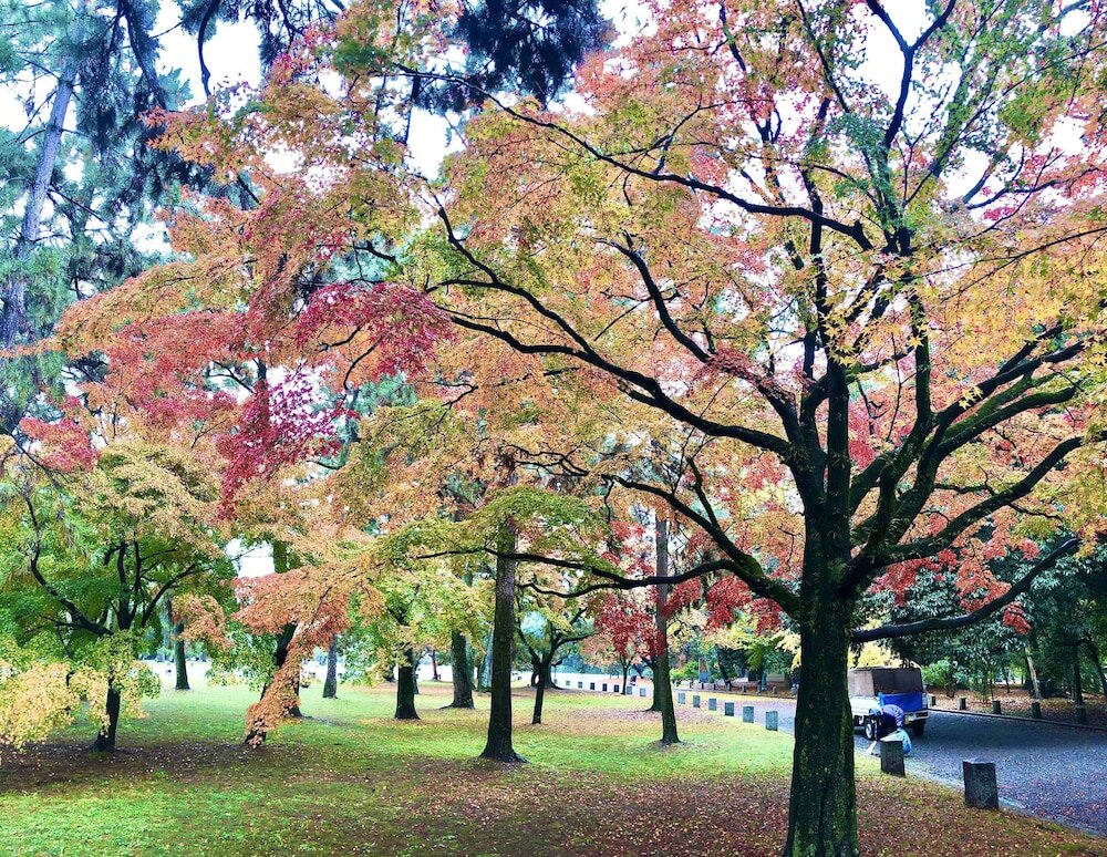 Фото Resi Stay Jisco Hotel Kyoto Goshonishi