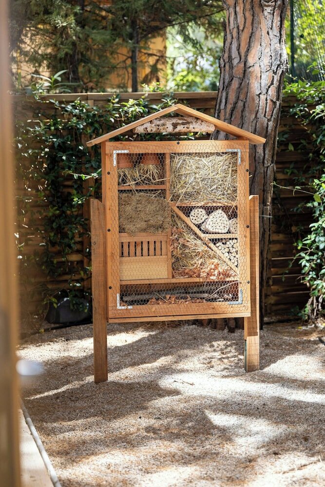 Фото Le Meridien Beach Plaza