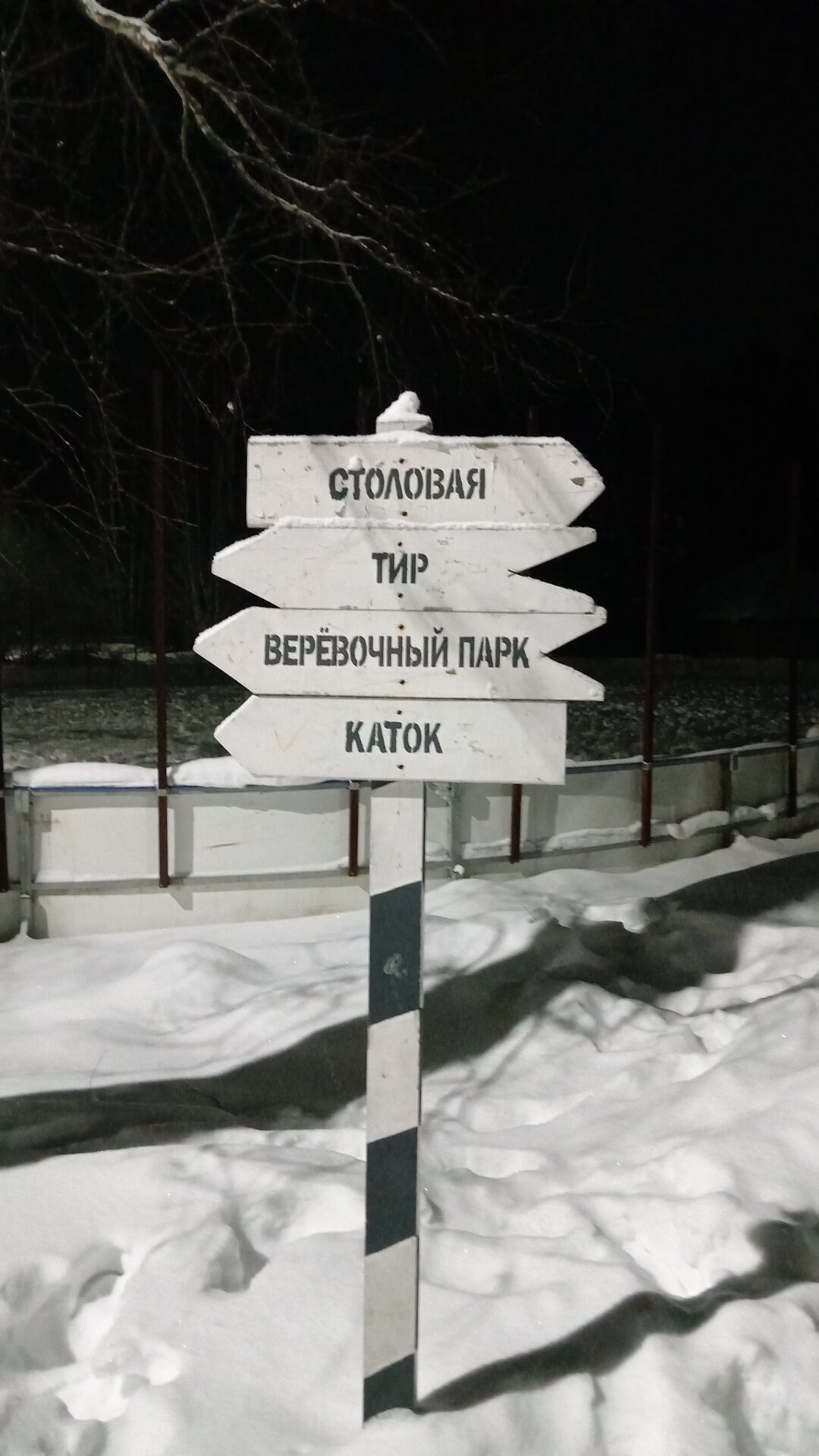Фото Лесная сказка