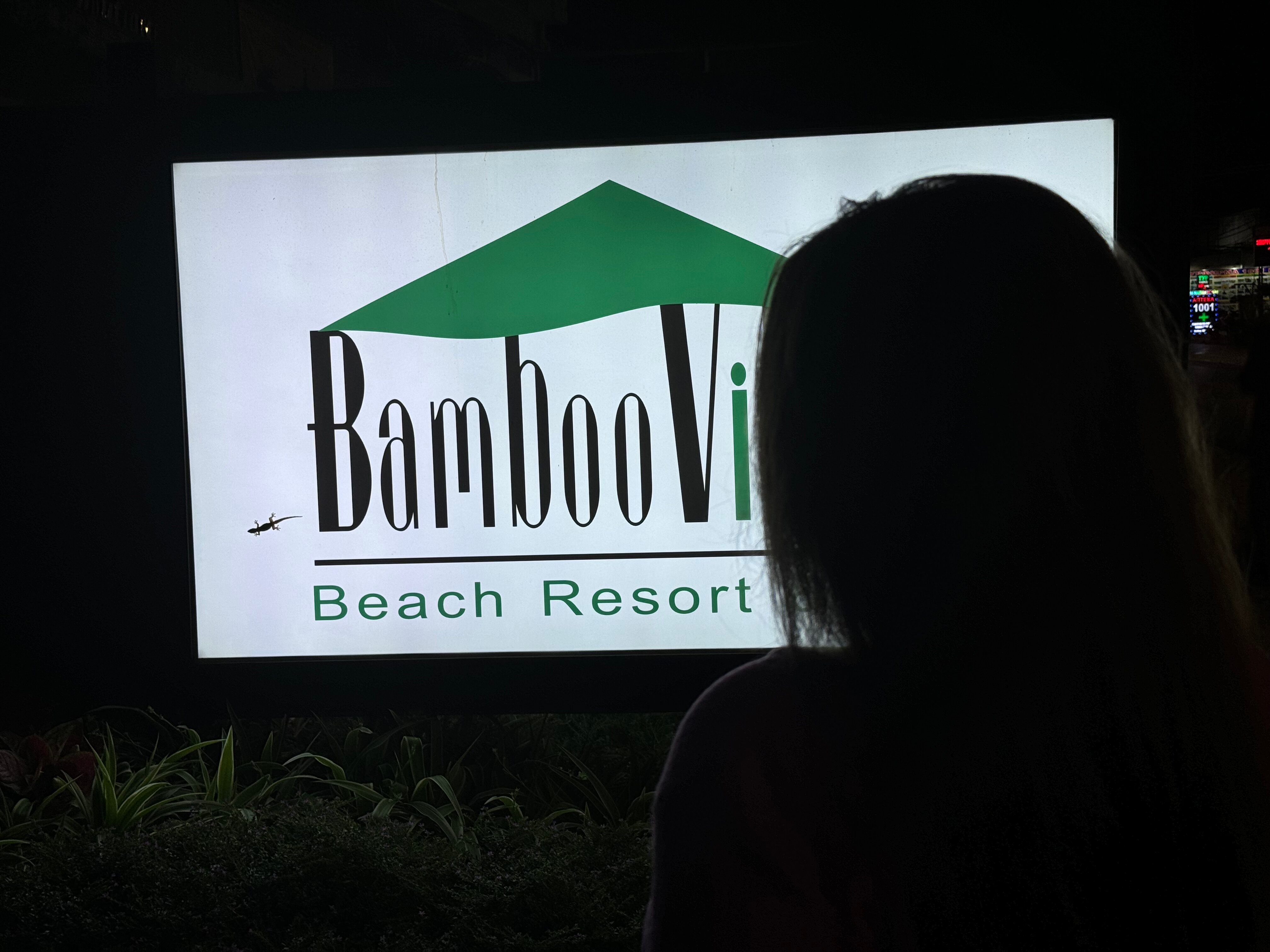 Фото Bamboo Village Beach Resort & SPA