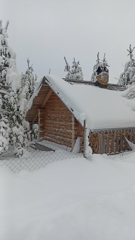 Валдайские дачи — фото 19