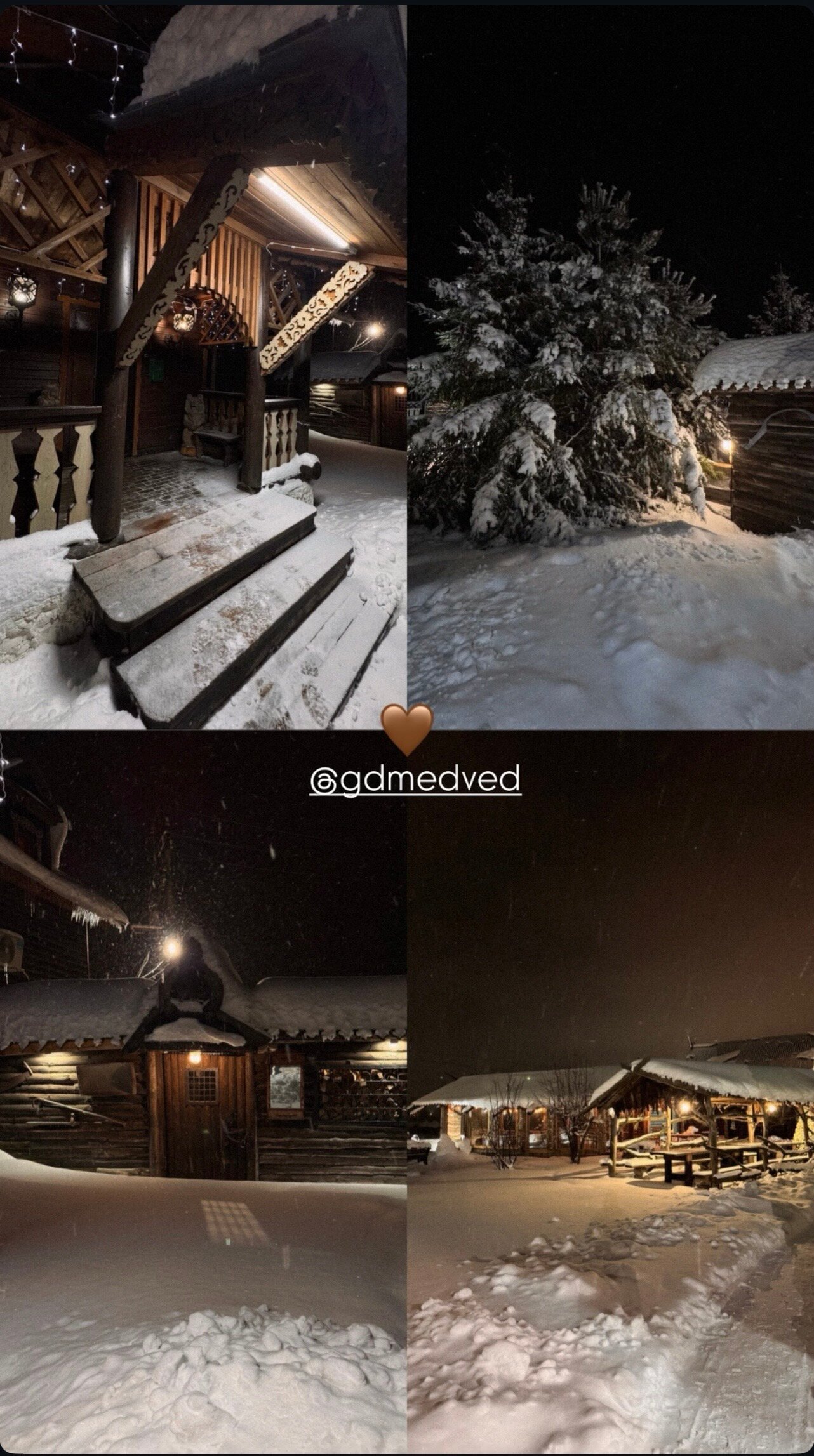 Фото Медведь