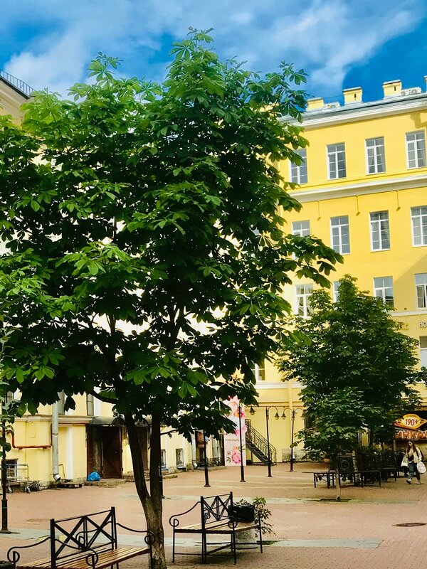 Невский Капсульный — фото 49