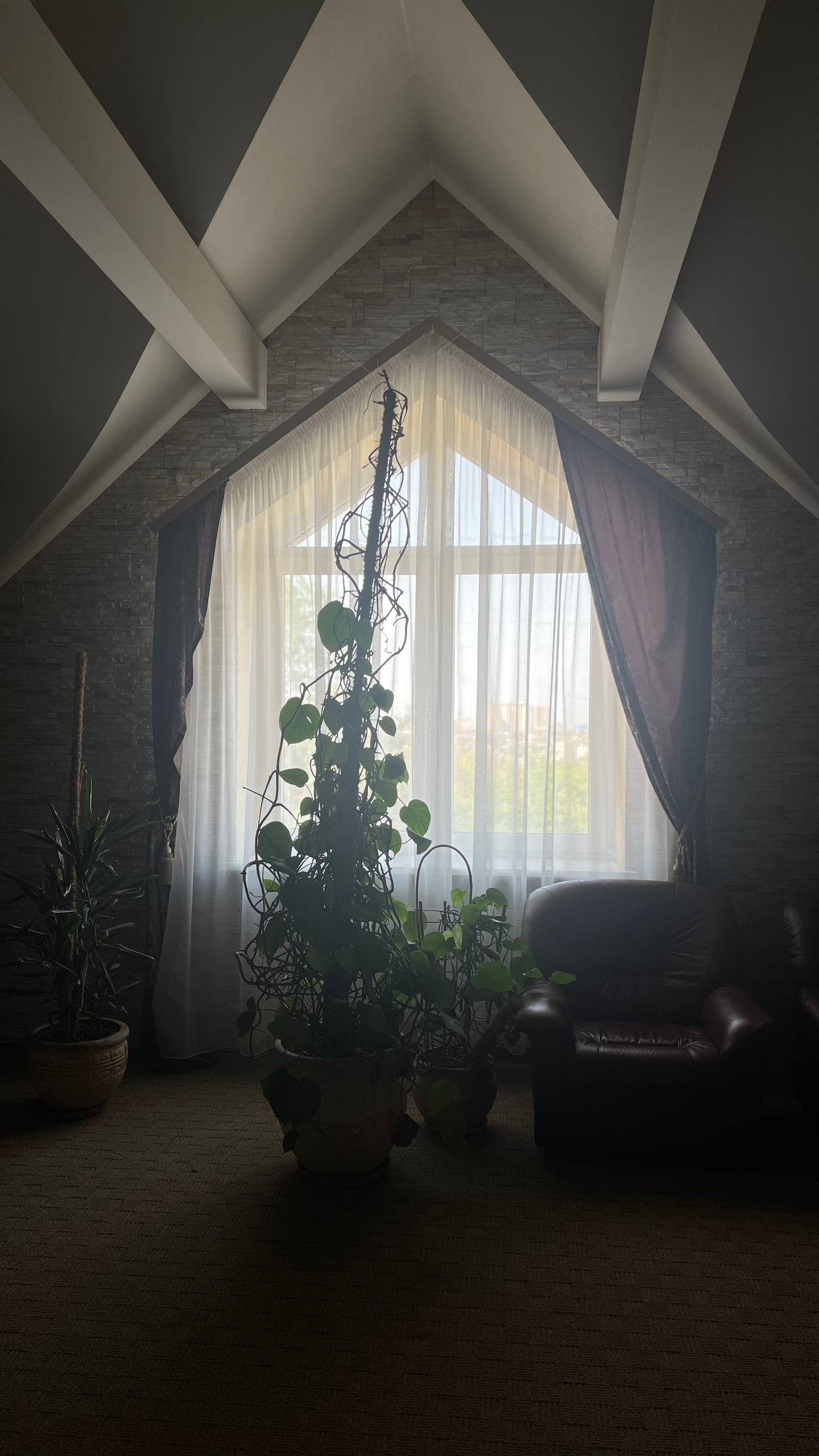 Фото Эльбузд