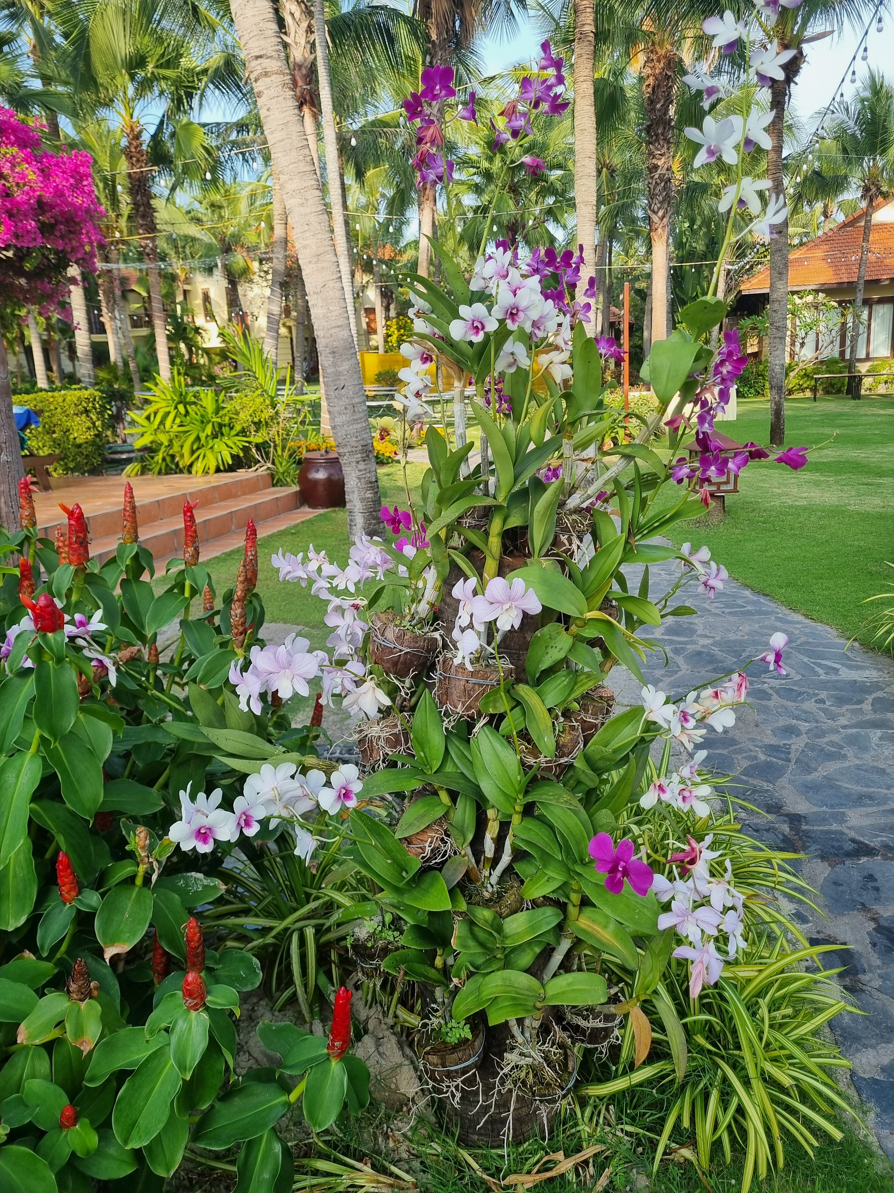 Фото Sunny Beach Resort