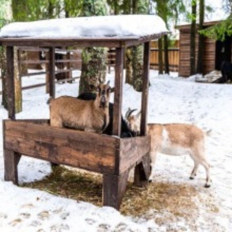 Фото Русские Сезоны Село Вятское SPA