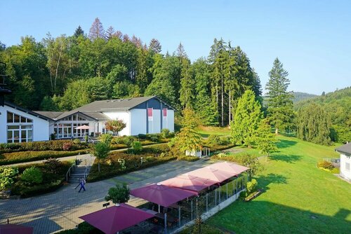 Гостиница Dorint Parkhotel Siegen в Кройцтале