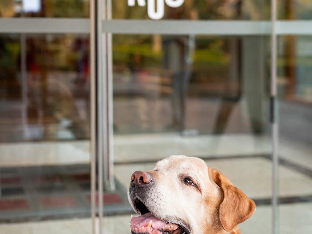 Фото Ibis Barcelona Castelldefels