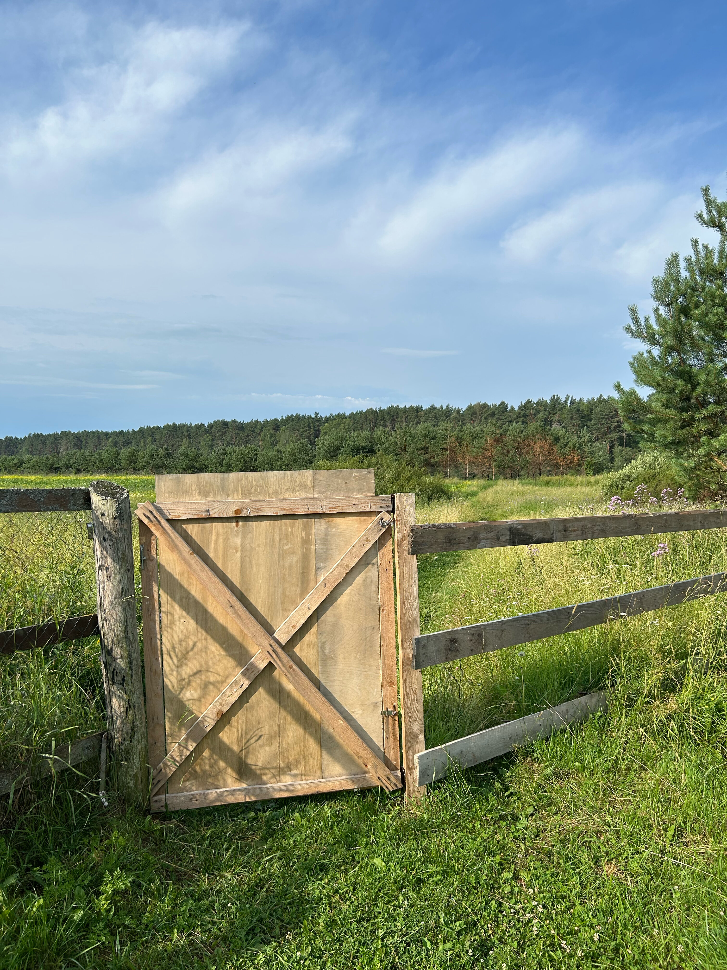 Фото Босфор в Родне