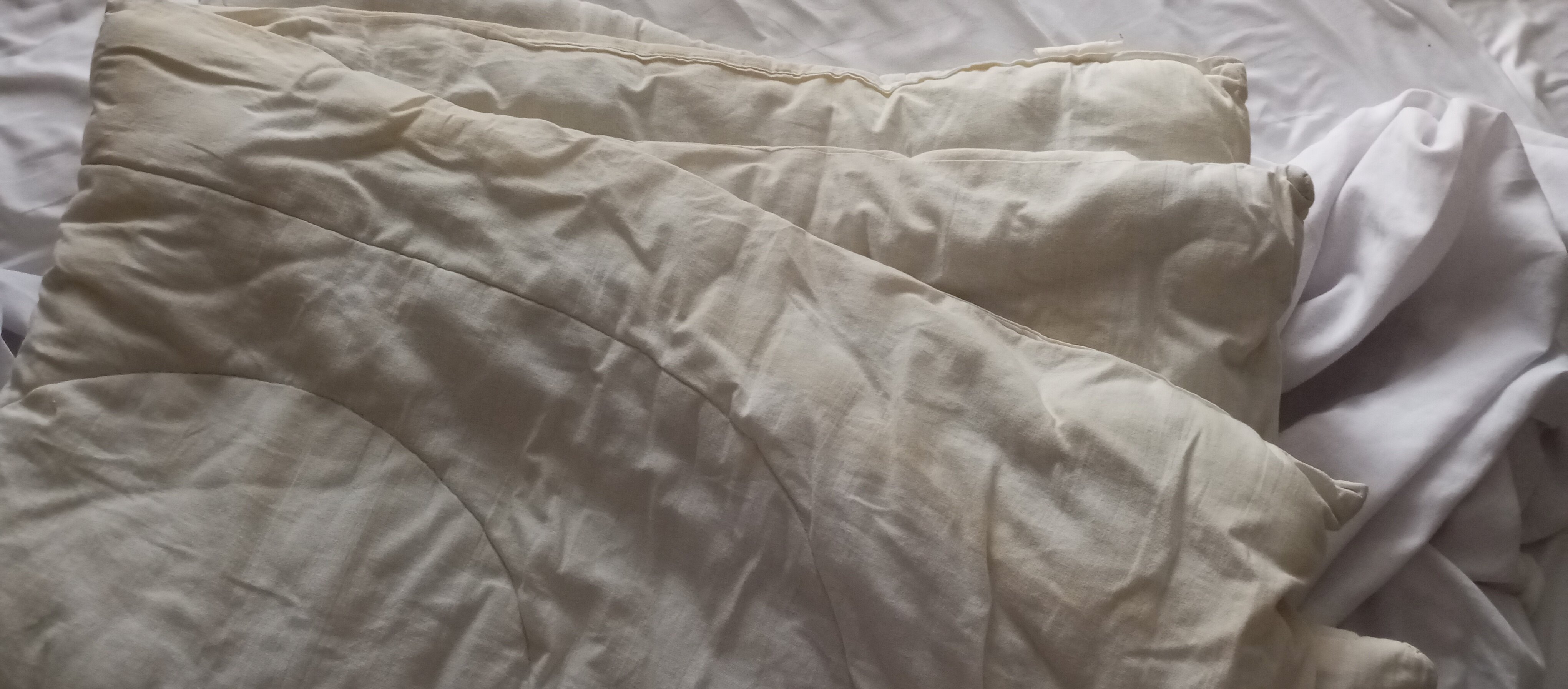 Фото Компас