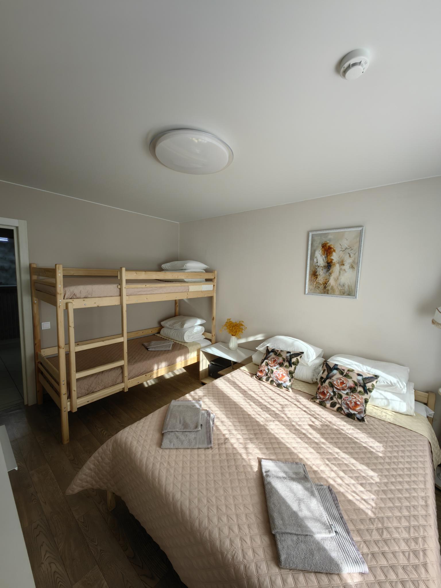 Фото Колибри