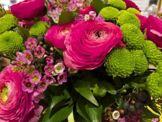 Фото Hotel Crayon