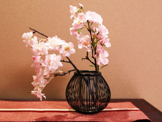 Фото Rinn Nishiwakamatsu