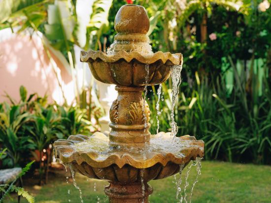 Фото Hotel Boutique Quinta das Videiras