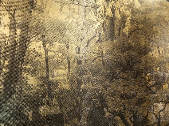 Фото Hotel Forza Kanazawa