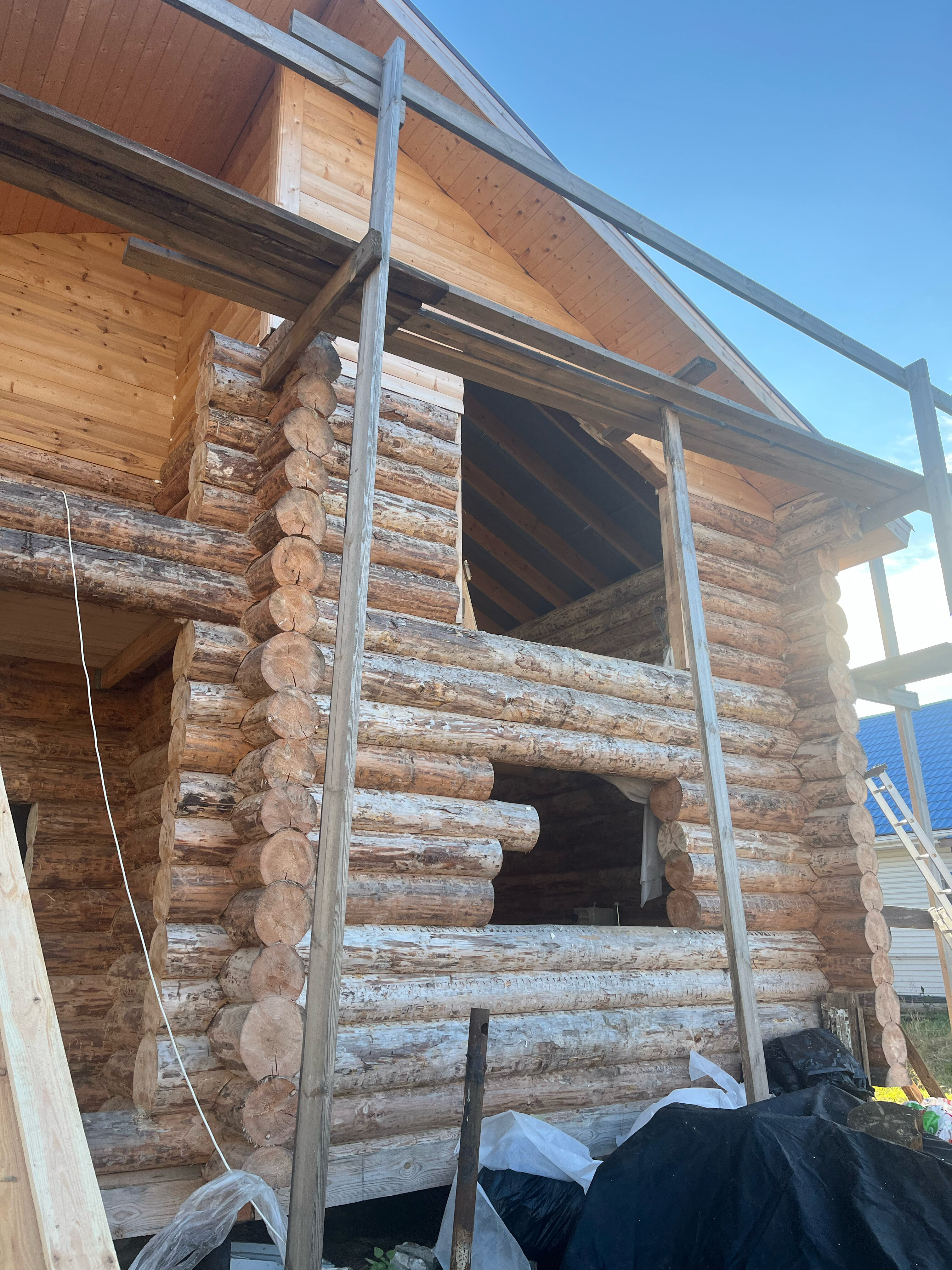 Фото Стрижели