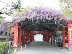 Zhiyuan Hotel (No. 111 Qingnian Road), hotel