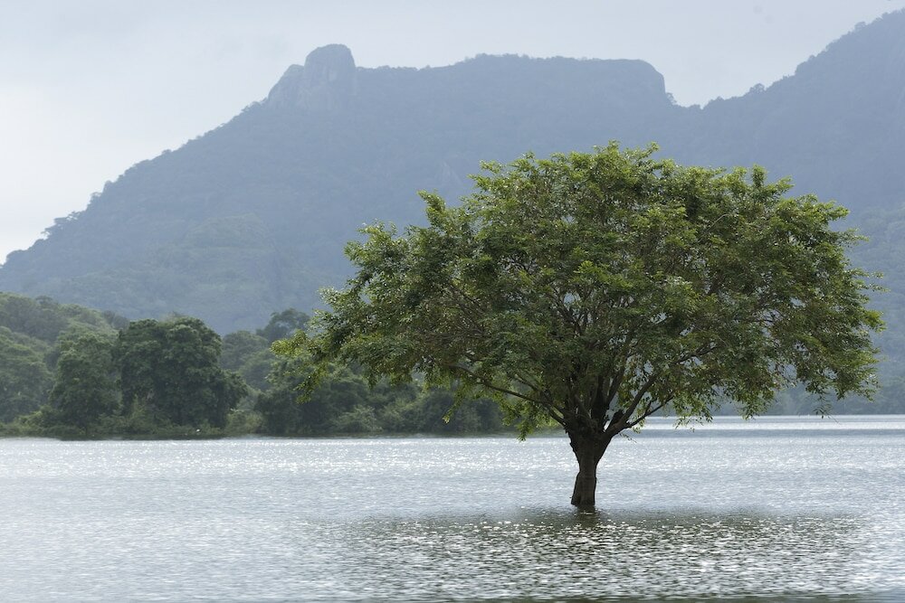 Фото Amaya Lake Dambulla