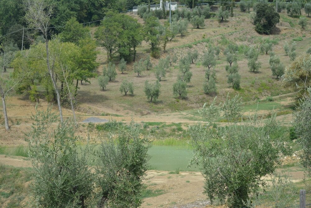 Фото Podere delle Fanciulle